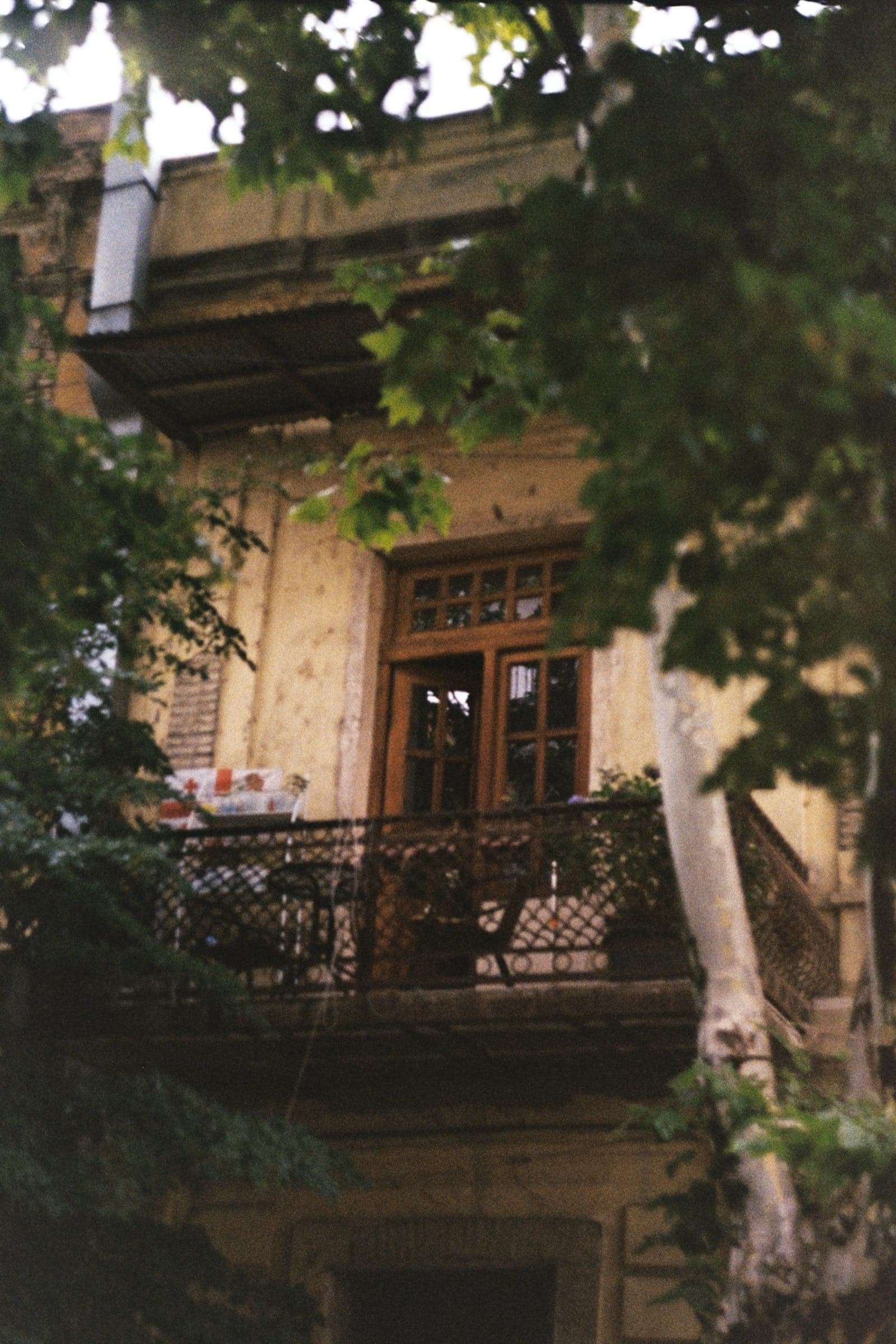 An old Tbilisi doorway and iron balcony behind plane-tree leaves
